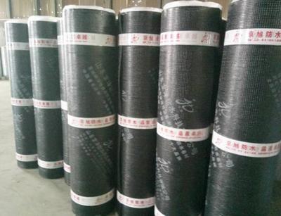 山东SBS耐根穿刺防水卷材 为建筑防水注入“耐久之根”