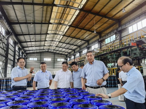 深化行业协作，共筑防水未来——中国建筑防水协会秘书长朱冬青一行考察福建铜浪公司